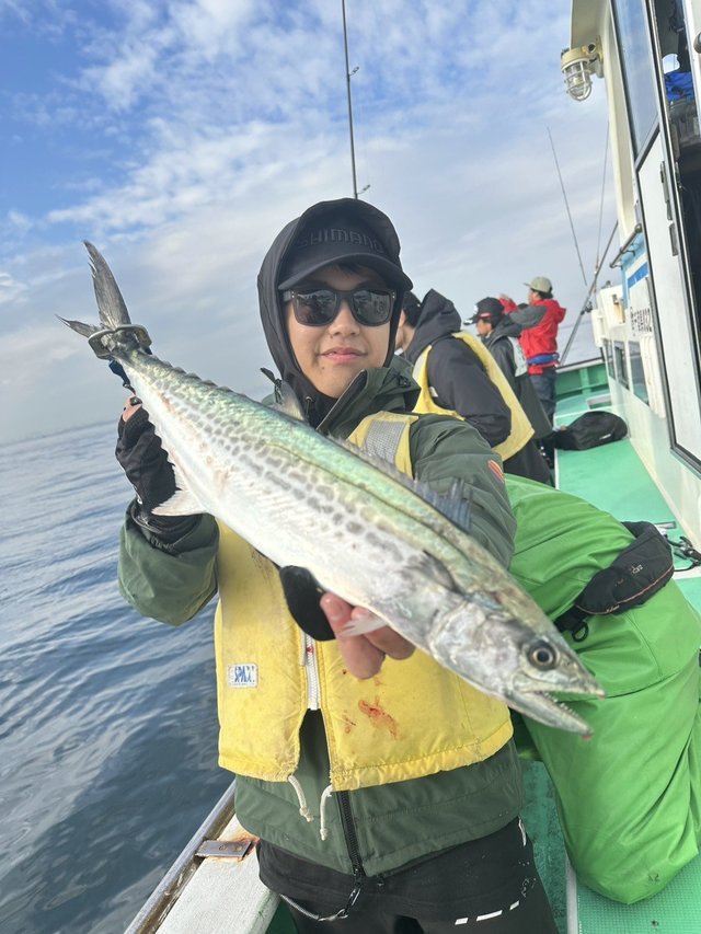 サゴシ(サワラ)