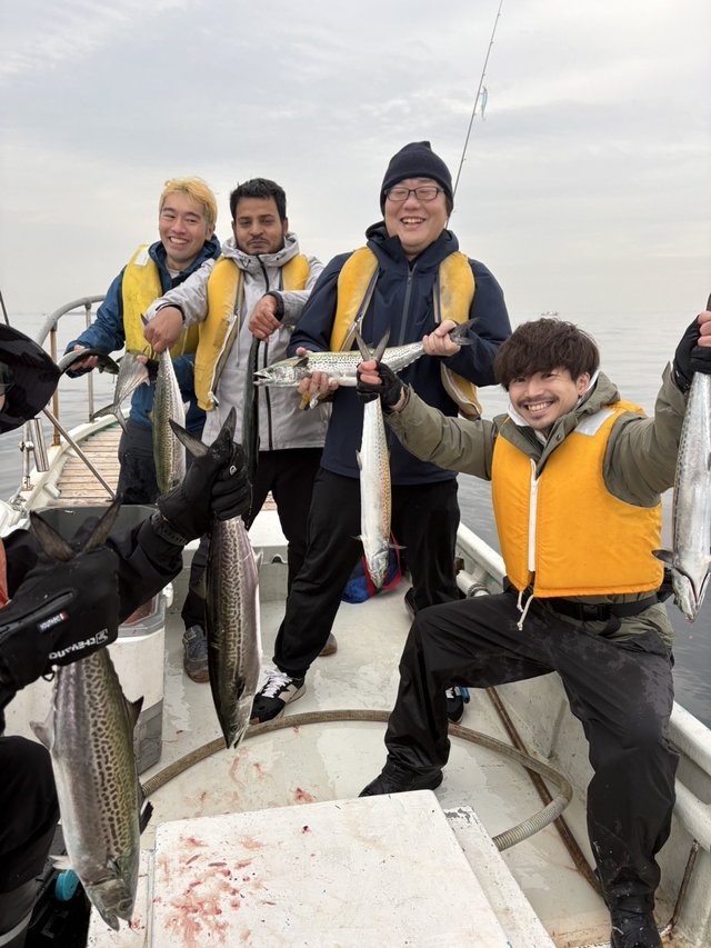 サゴシ(サワラ)