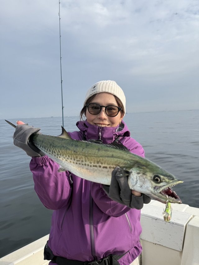 サゴシ(サワラ)