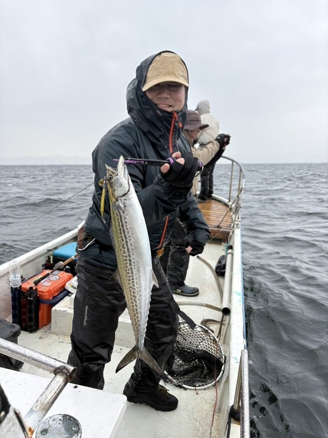 サゴシ(サワラ)