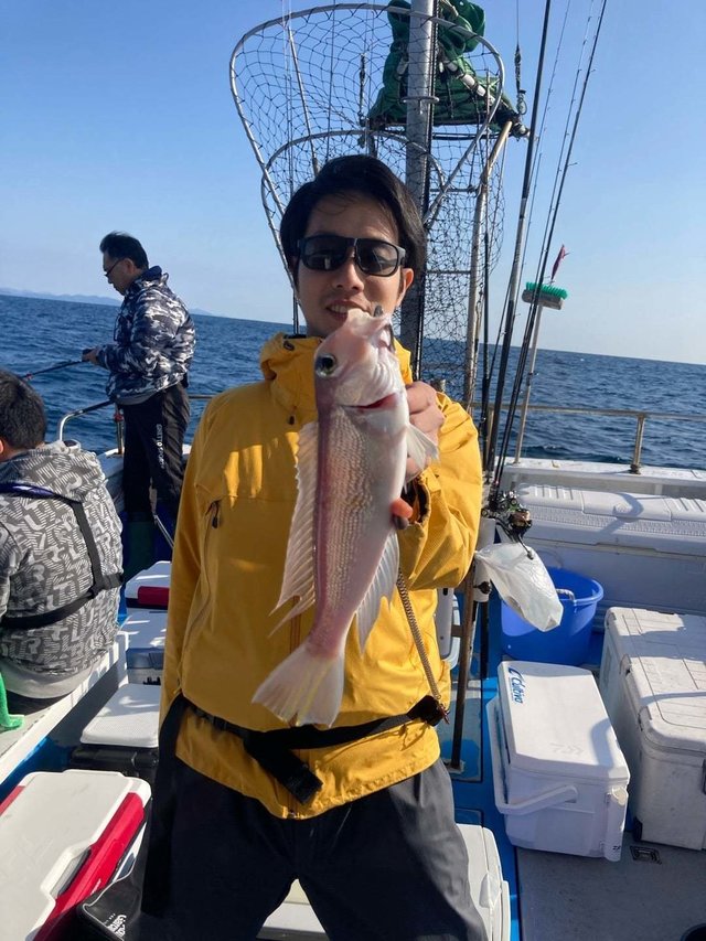 アマダイ(アカアマダイ)