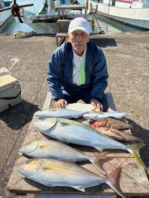 ブリ・メジロ(ブリ)・カンパチ