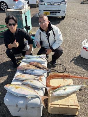 ハマチ(ブリ)・メジロ(ブリ)・カンパチ