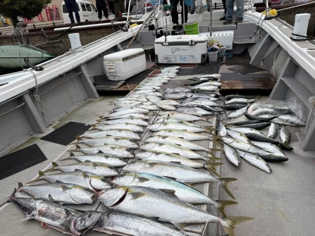 ハマチ(ブリ)・サワラ