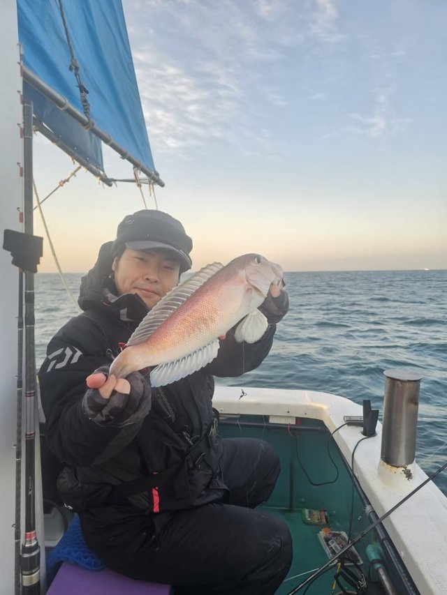 アマダイ(アカアマダイ)