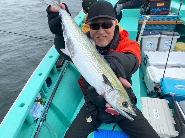 サゴシ(サワラ)