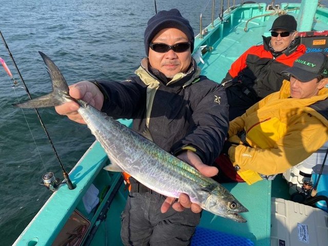 サゴシ(サワラ)