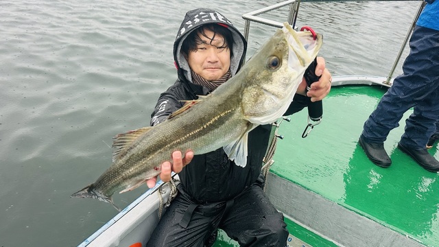 シーバス(スズキ)