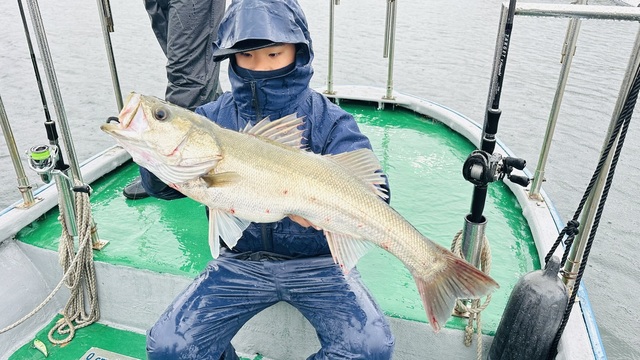 シーバス(スズキ)