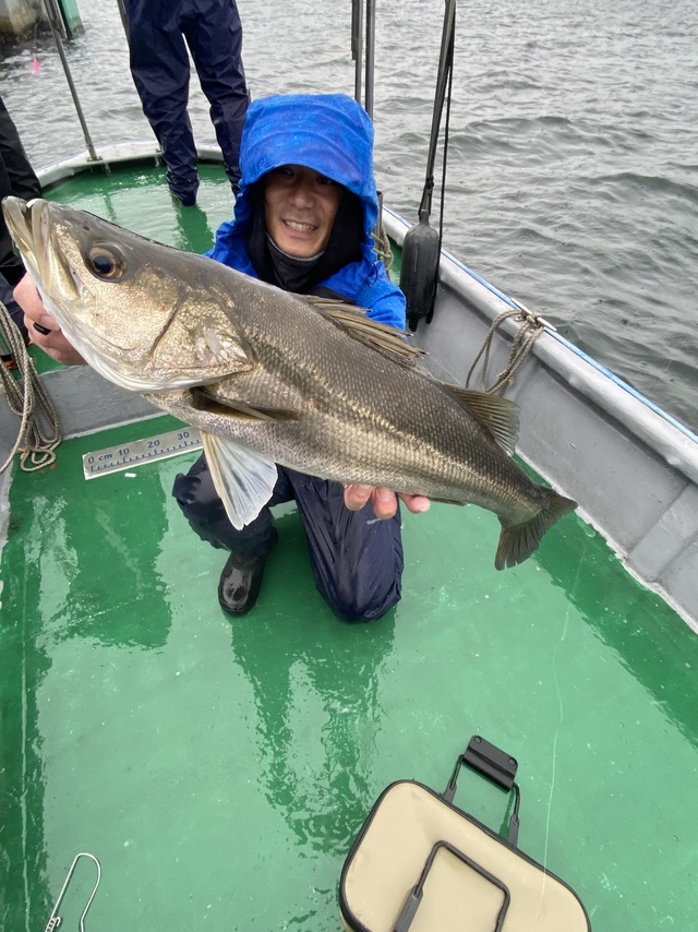 シーバス(スズキ)