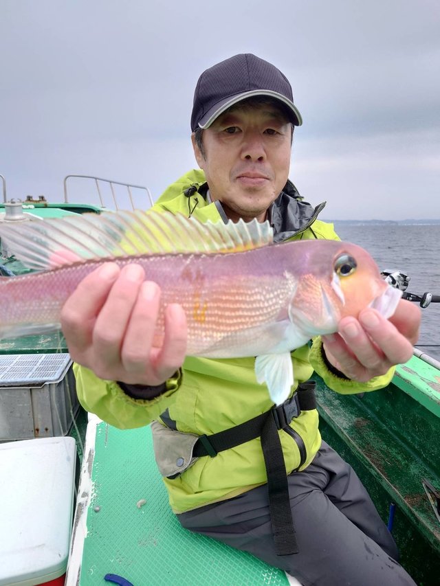 アマダイ(アカアマダイ)