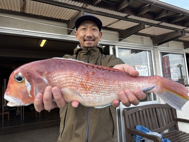 アマダイ(アカアマダイ)