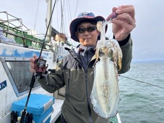 アオリ(アオリイカ)