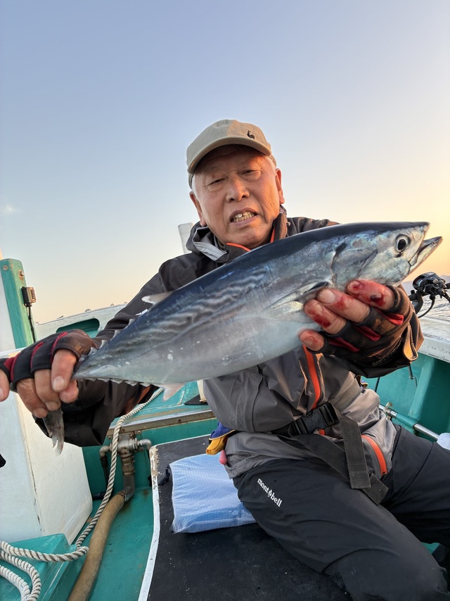 ヤイトガツオ(スマ)