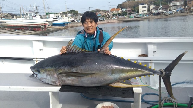 キハダマグロ(キハダ)