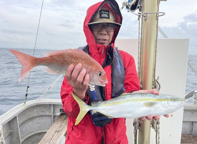 マダイ・ワラサ(ブリ)