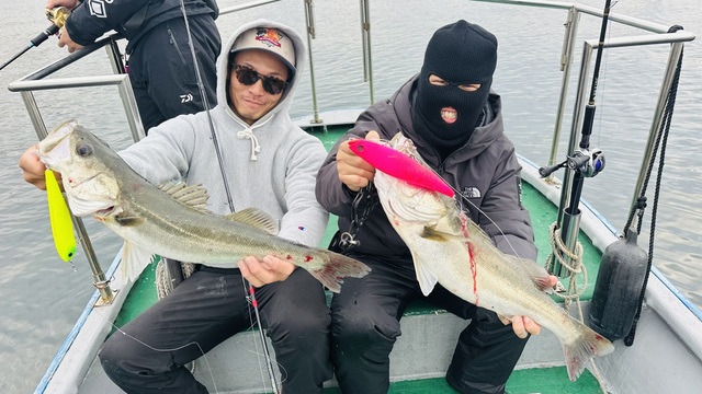 シーバス(スズキ)