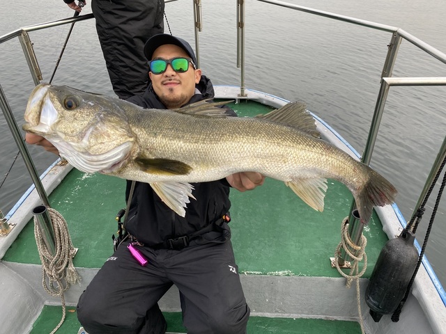 シーバス(スズキ)