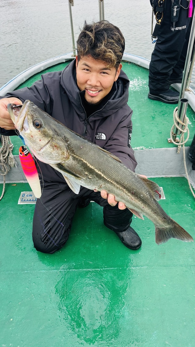 シーバス(スズキ)