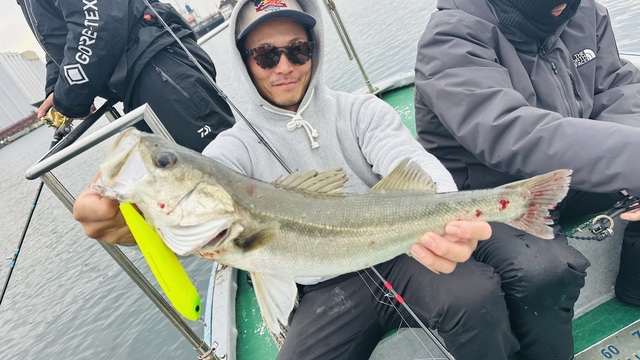 シーバス(スズキ)