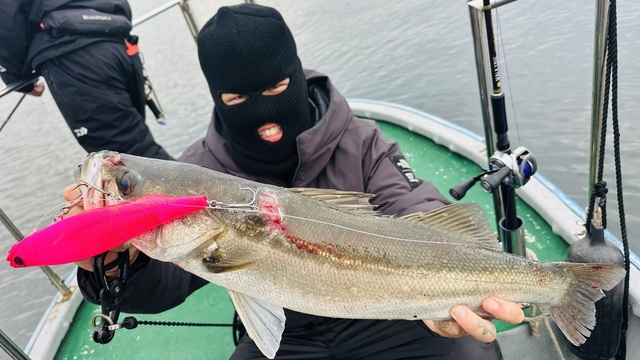 シーバス(スズキ)