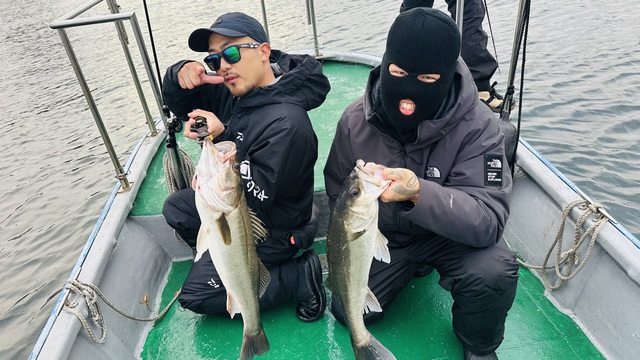 シーバス(スズキ)