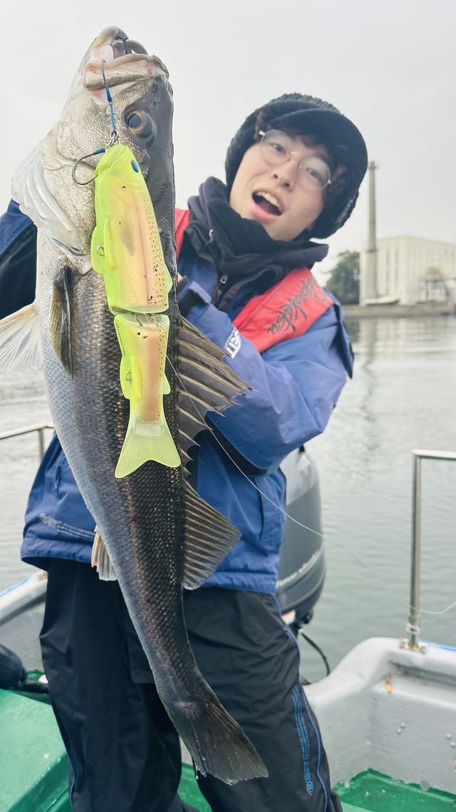 シーバス(スズキ)