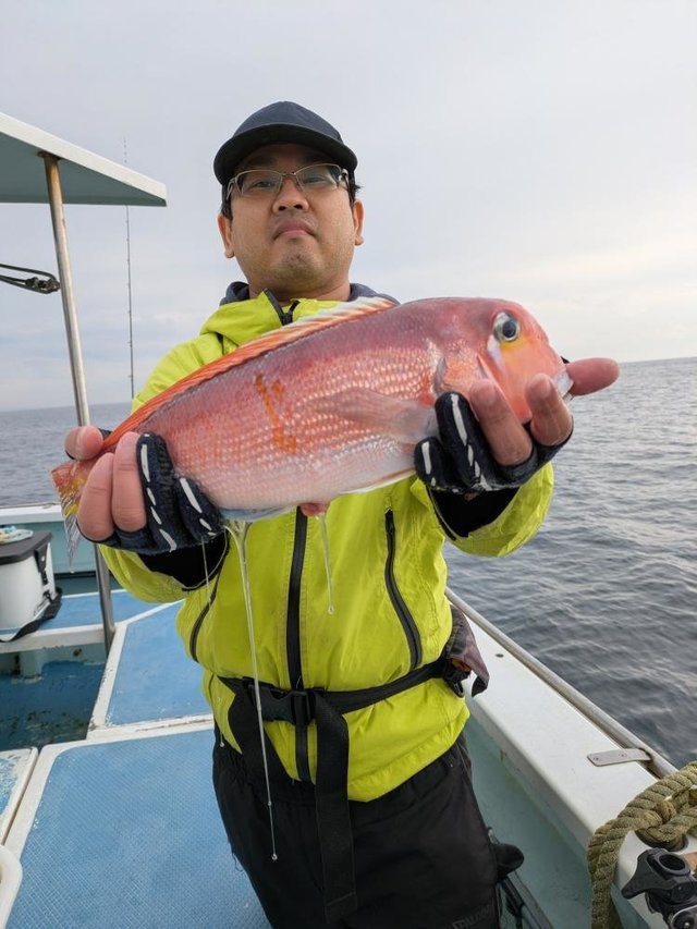 アマダイ(アカアマダイ)