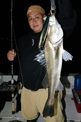 シーバス(スズキ)