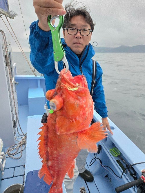 ウッカリカサゴ