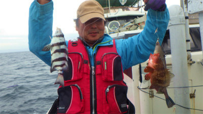 イシダイ・キジハタ