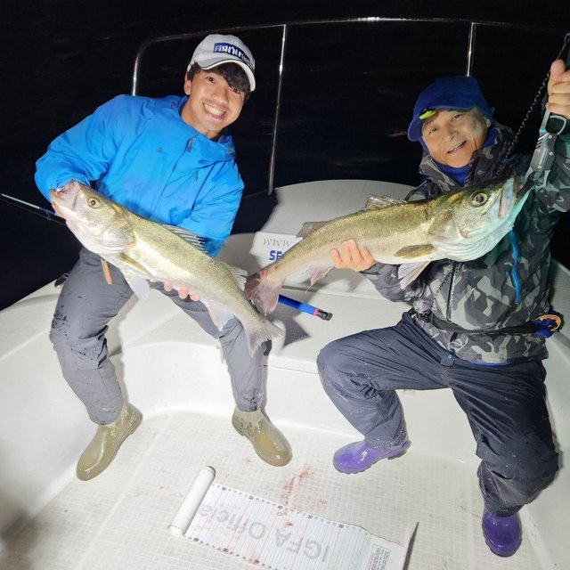 シーバス(スズキ)