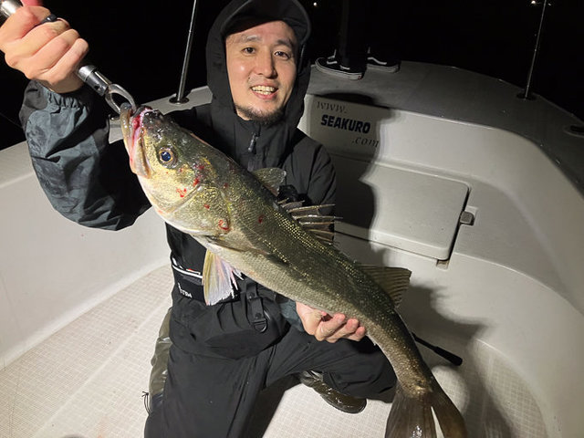 シーバス(スズキ)