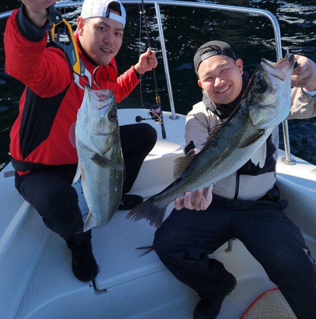 シーバス(スズキ)