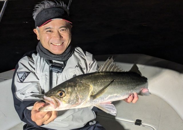 シーバス(スズキ)