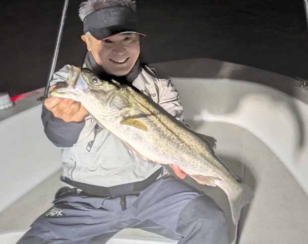 シーバス(スズキ)