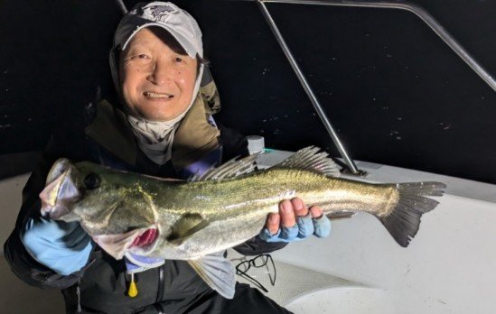 シーバス(スズキ)