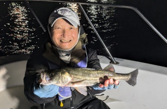 シーバス(スズキ)