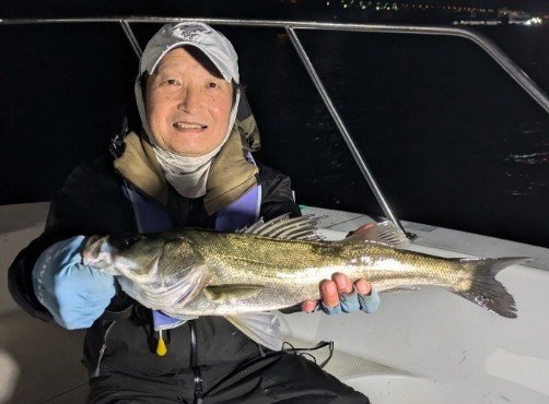 シーバス(スズキ)