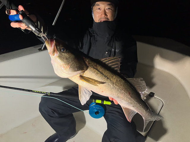 シーバス(スズキ)