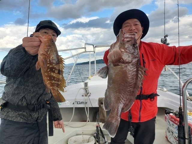 マハタ・アコウ(キジハタ)