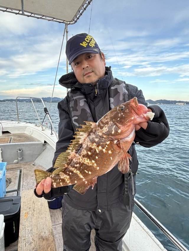 アコウ(キジハタ)