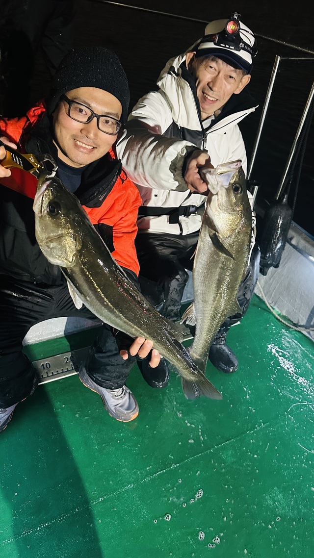 シーバス(スズキ)