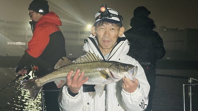 シーバス(スズキ)