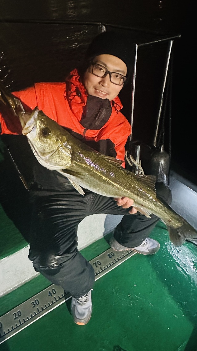 シーバス(スズキ)