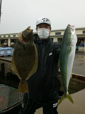 ワラサ(ブリ)・ヒラメ