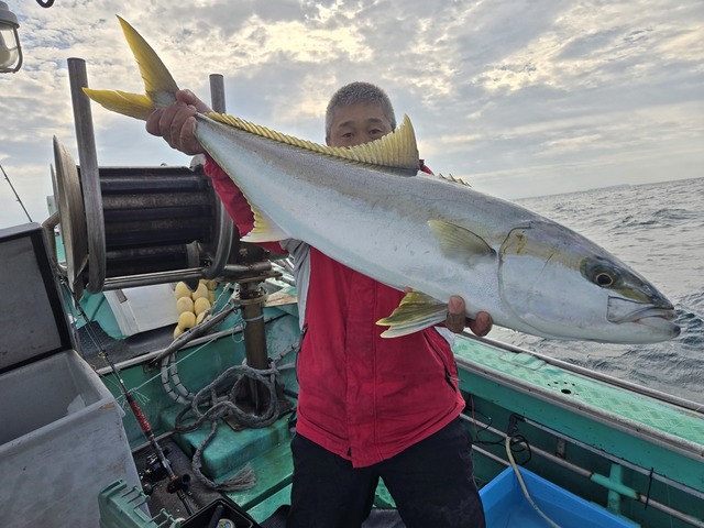 ヒラス(ヒラマサ)