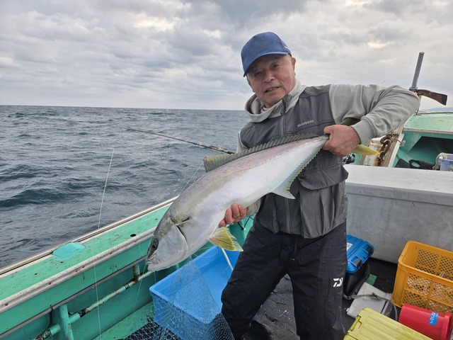 ヒラス(ヒラマサ)