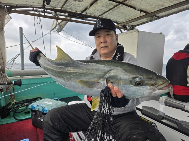 ヒラス(ヒラマサ)