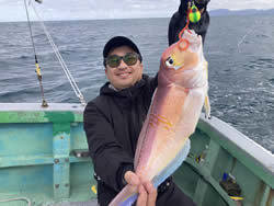 アマダイ(アカアマダイ)